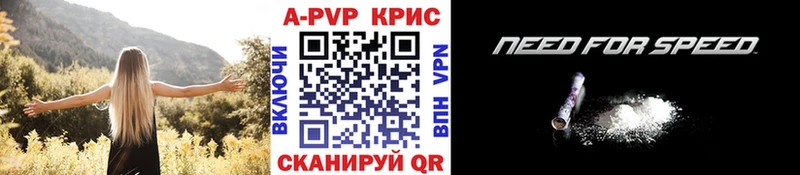 это Telegram  Сланцы  Альфа ПВП СК КРИС 