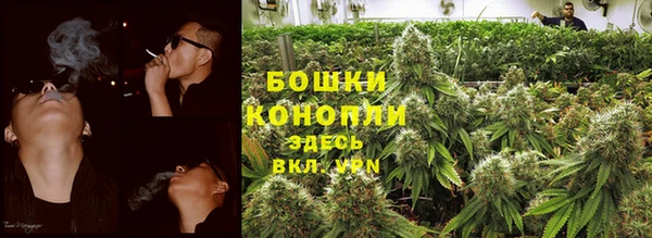 дурь Богданович
