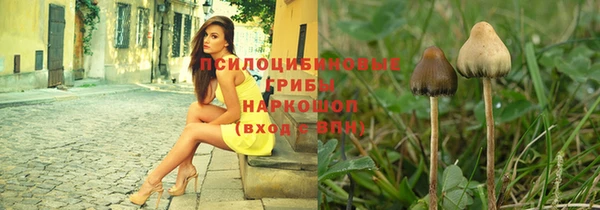 спайс Богородск