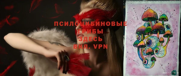 винт Богородицк