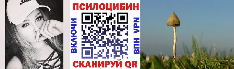 Псилоцибиновые грибы прущие грибы  цена наркотик  Сланцы 