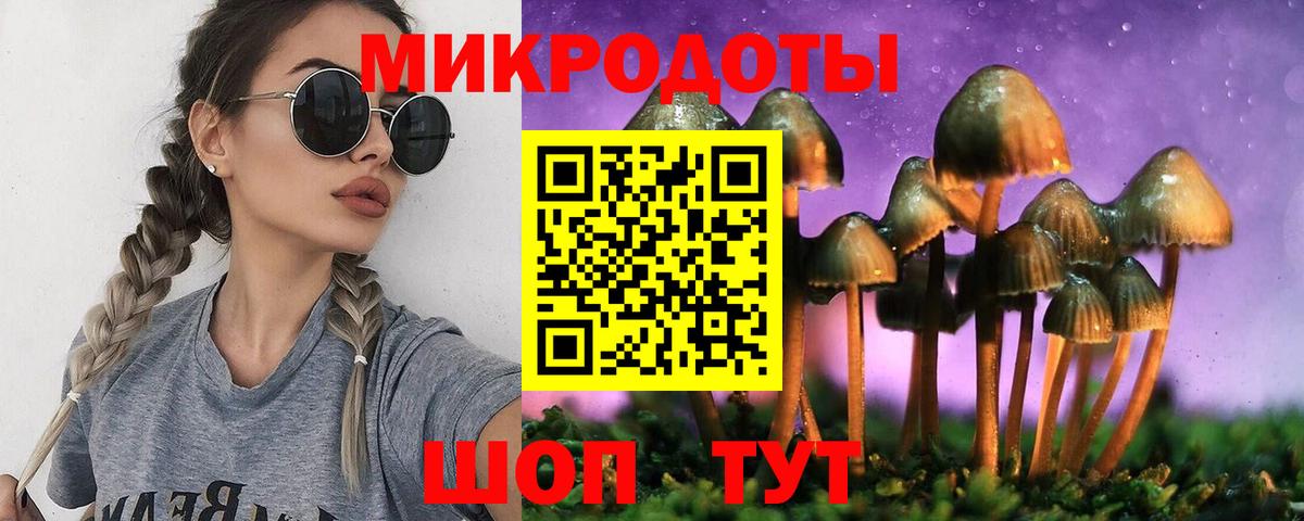 Галлюциногенные грибы мицелий  Псилоцибиновые грибы Psilocybine cubensis  Сланцы  Вход с VPN 