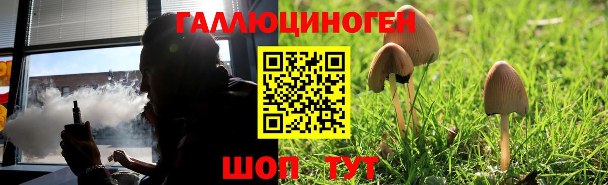 Меф   Каннабис  Вход с VPN  Сланцы  Гашиш  ГАШИШ  МЕТАМФЕТАМИН 