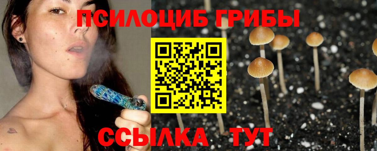 Псилоцибиновые грибы GOLDEN TEACHER Сланцы