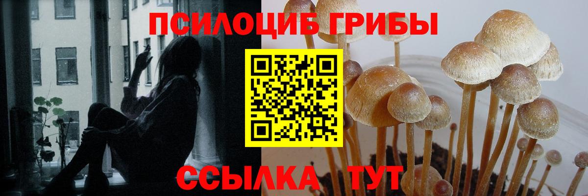 A PVP Сланцы
